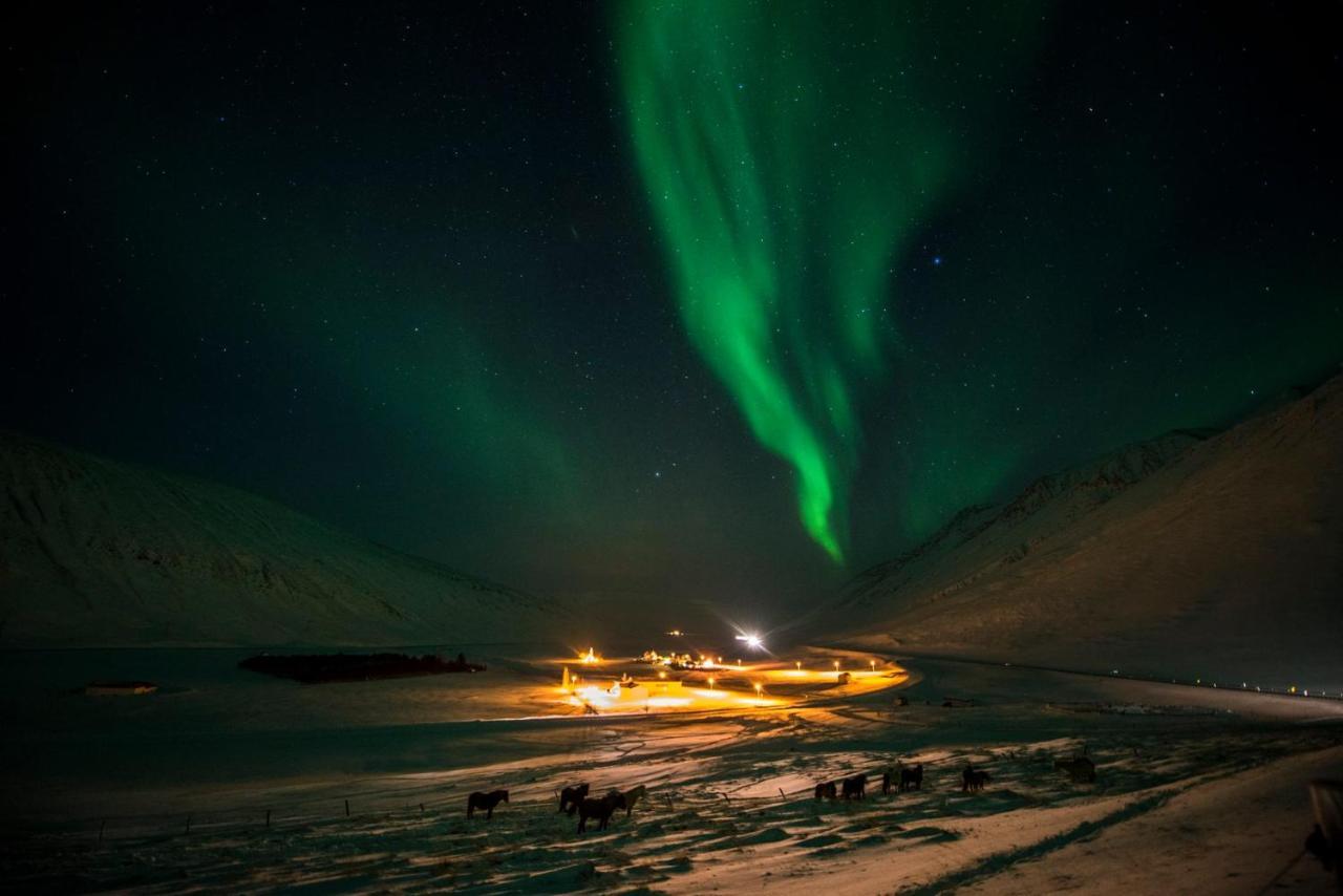 Hunaver Guesthouse Blonduos Exteriér fotografie